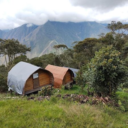 Machupicchu Ecolodge Cusco Extérieur photo